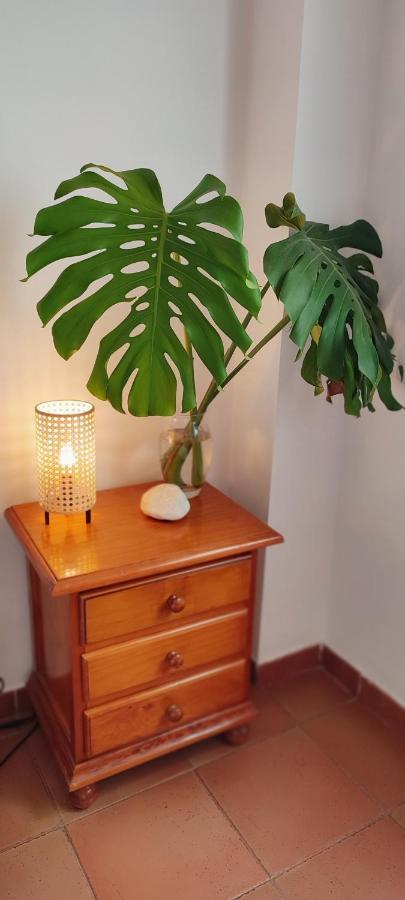 Nerja Apartamento Centro מראה חיצוני תמונה